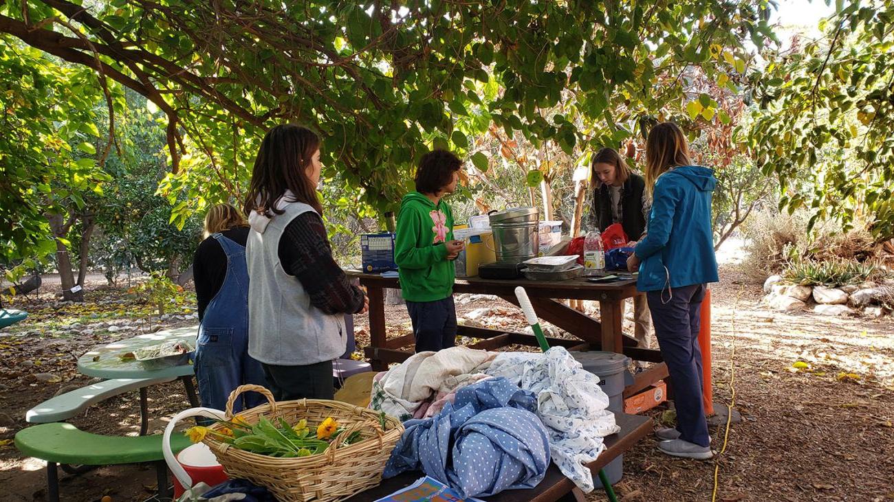 Students preparing a homegrown feast for FarmFest 2022.